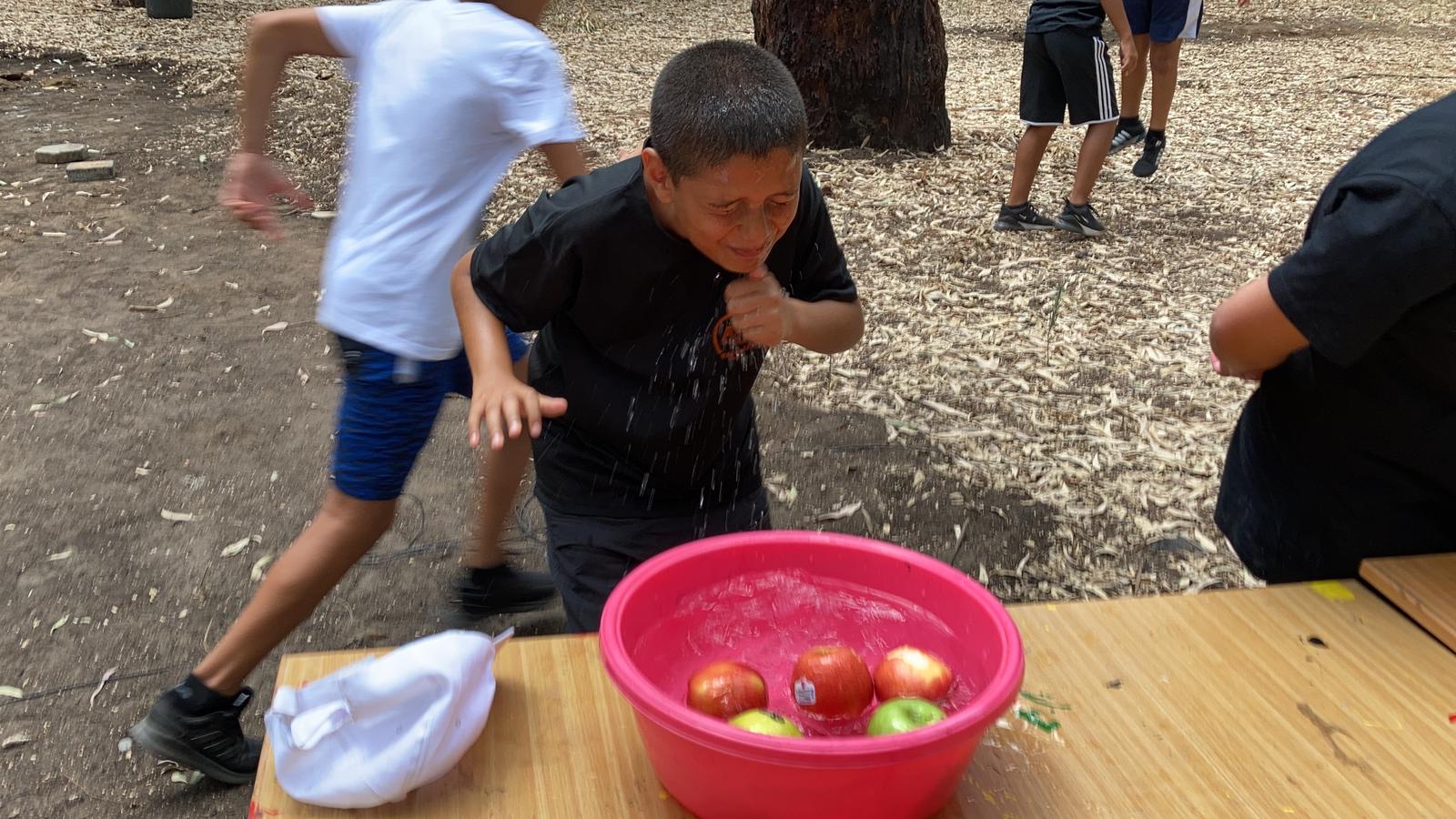 WhatsApp Image 2020-08-21 at 1.43.21 PM (1).jpeg.jpeg